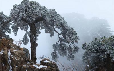 Mount Huangshan in Snow