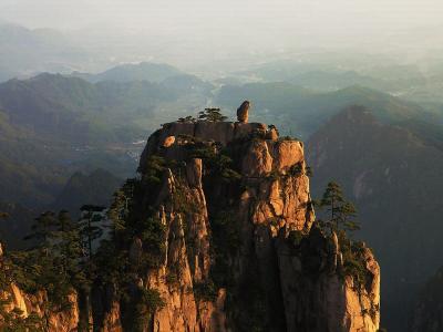 Yellow Mountain Stone Monkey Gazing over the Sea of Clouds