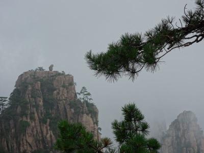 Stone Monkey Gazing over the Sea of Clouds