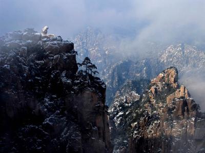 Stone Monkey Gazing over the Sea of Clouds