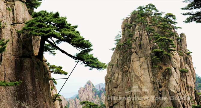 5-Day Huangshan Highlights & Jingdezhen Porcelain Culture Tour  