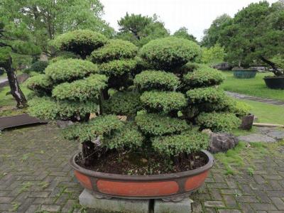 Bao Family Garden
