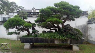 Bao Family Garden