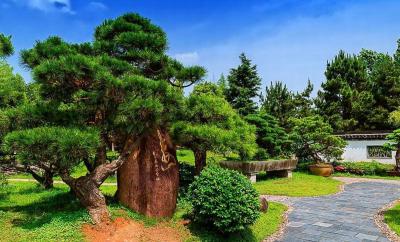 Bao Family Garden