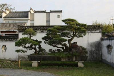 Bao Family Garden