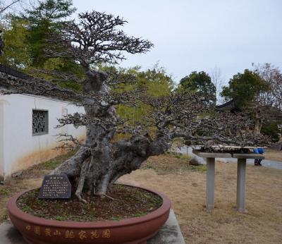 Bao Family Garden