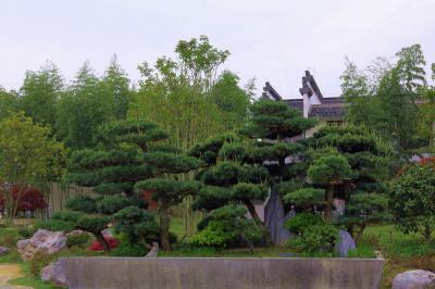 Bao Family Garden She County