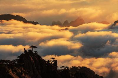 Early Morning Mt. Huangshan
