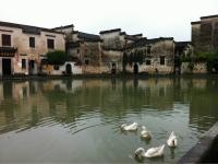 Hongcun Village 