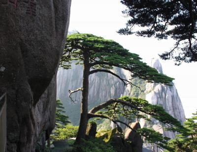 Huangshan Jade Screen Scenic Area