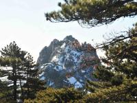 Lotus Flower Peak