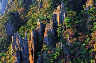 Mount Huangshan in Autumn