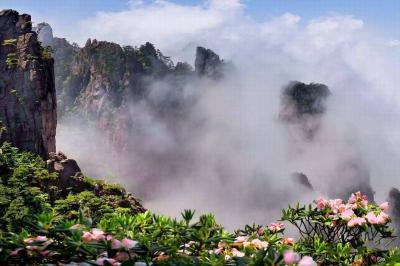 Yellow Mountain in Spring