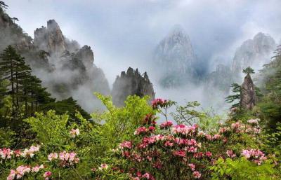 Mount Huangshan in Spring
