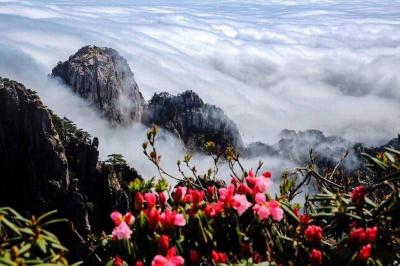 Mt. Huangshan in Spring