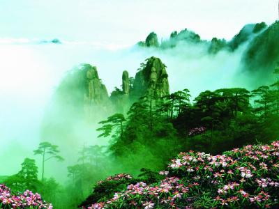 Huangshan Mountain in Spring