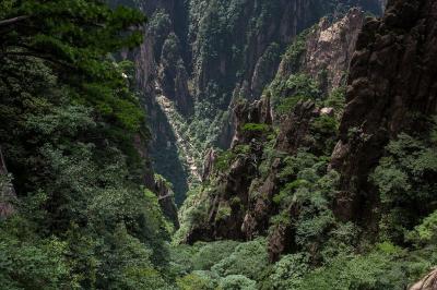 Mount Huangshan in Summer