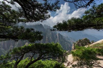 Mount Huangshan in Summer