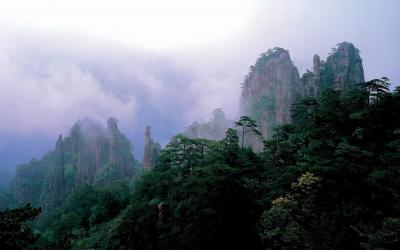 Mount Huangshan in Summer