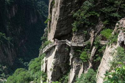 Mount Huangshan in Summer