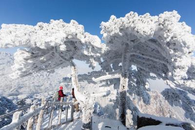 Mount Huangshan in Winter
