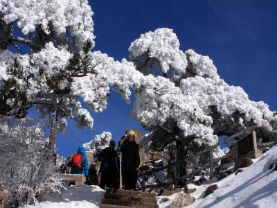 Mount Huangshan in Winter