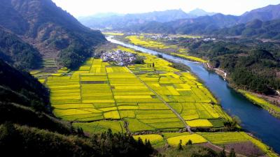 A View of the Hengjiang River from Mount Qiyun