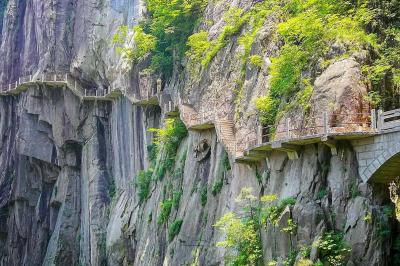 Paths in Yellow Mountain
