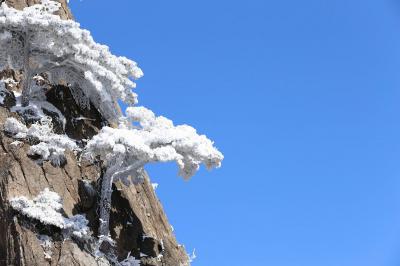 Rime in Mount Huangshan