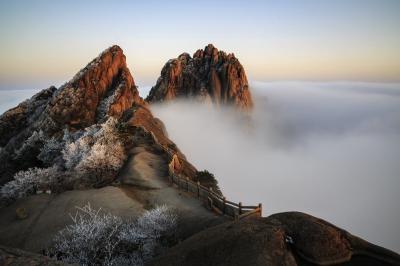 Rime in Mount Huangshan