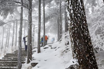 Rime Mount Huangshan