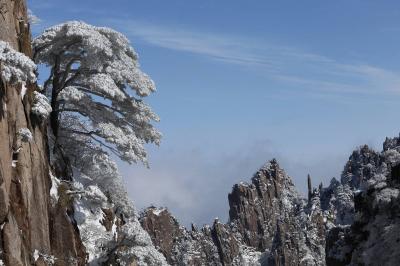 Rime in Mount Huangshan
