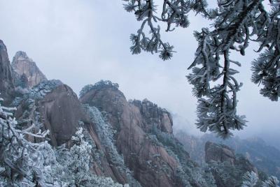 Huangshan Mountain Winter Rime  