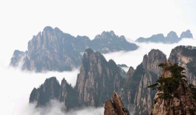 Sea of Clouds in Mount Huangshan
